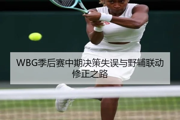 WBG季后赛中期决策失误与野辅联动修正之路